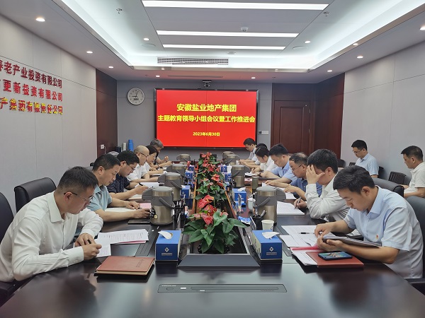 安徽盐业地产集团：从高处着眼 于细处着手 在实处着力 扎实推进主题教育走深走实